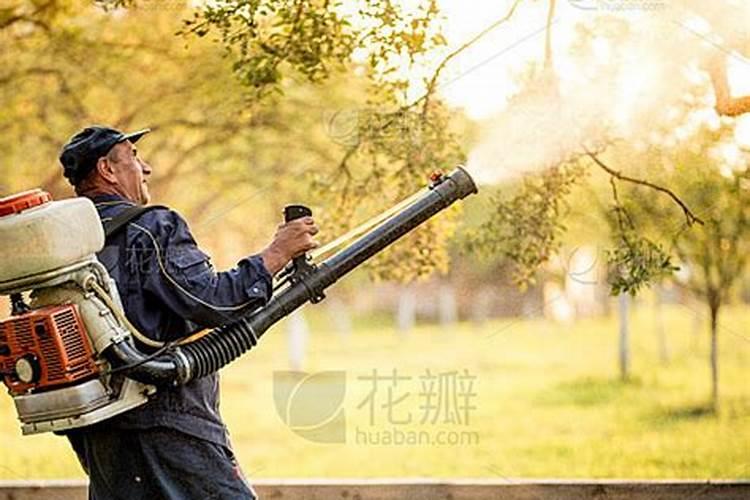 梨树叶面肥用那一种肥？能防果树缺它所需要的养份和病虫害？