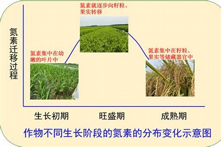 大量元素肥料和微量元素肥料有什么区别