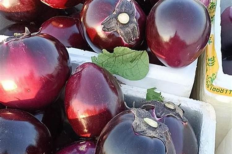 茄子结果期追施用什么肥料？茄子挂果期专用肥是什么肥料？