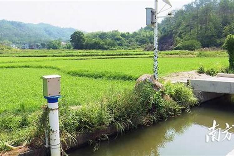 钙镁磷肥怎样用效果好 钙镁磷肥使用注意事项有哪些