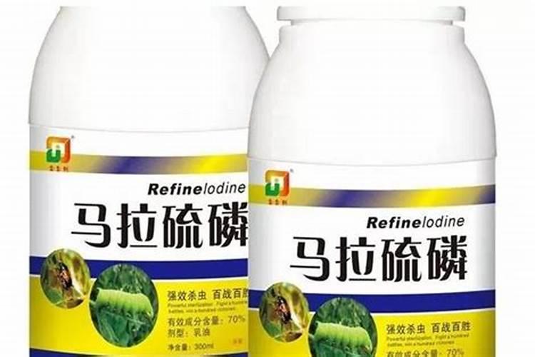 黄曲条跳甲效果好的防治方法