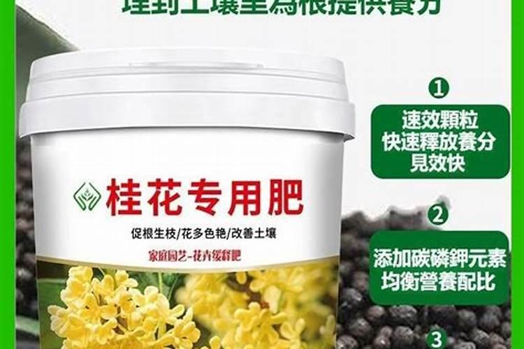 盆景桂花施肥方法
