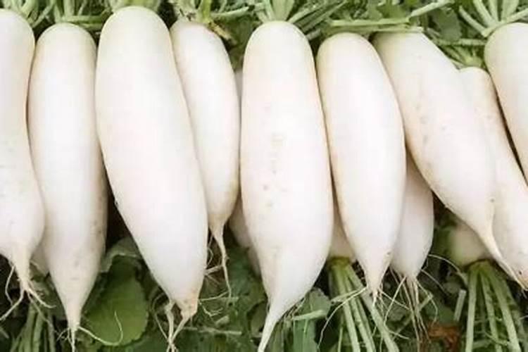 萝卜施什么肥 一般需要施这种肥
