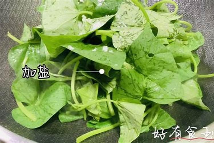 番薯叶怎么种