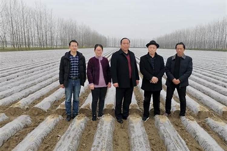打过除草剂一天可以打芸苔素吗