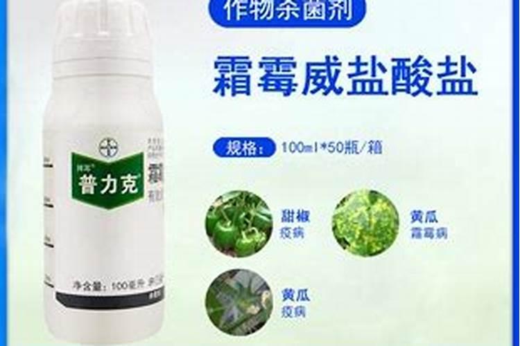 杀菌剂可以防治什么病害？杀菌剂跟什么农药复配？