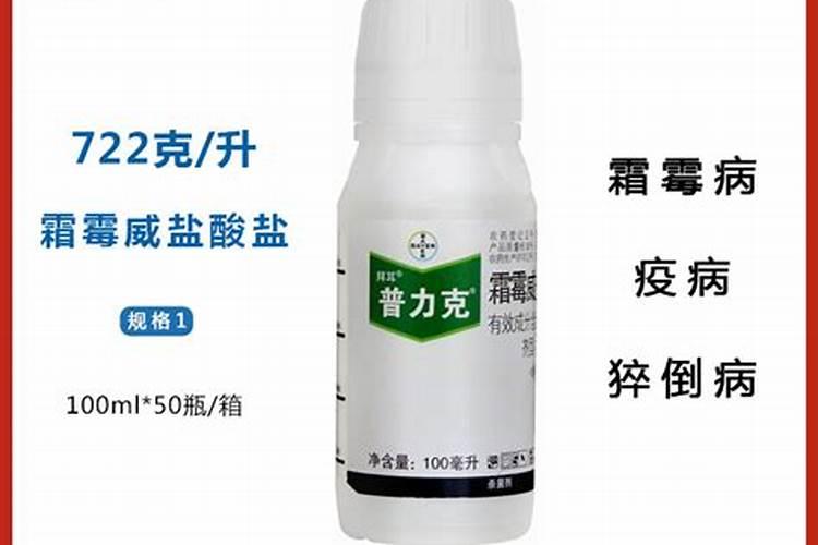 节瓜丝核菌果腐病防治方法