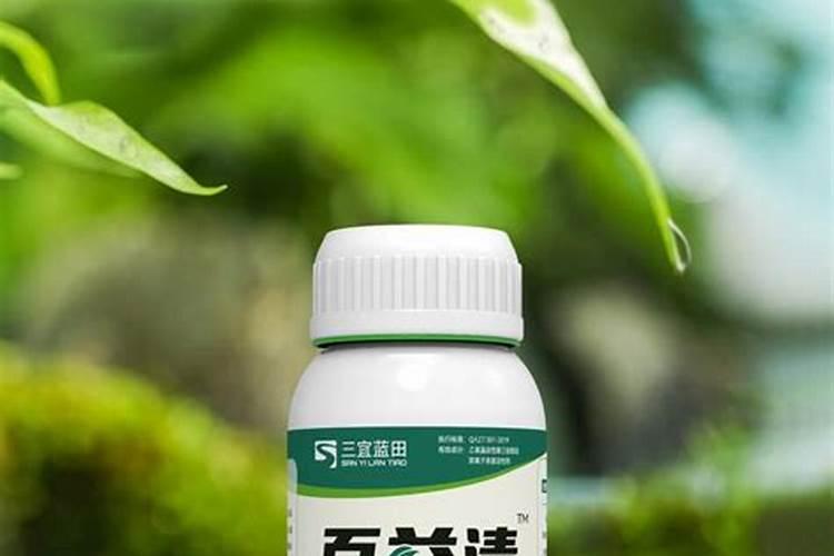 兰花用什么叶面肥最好