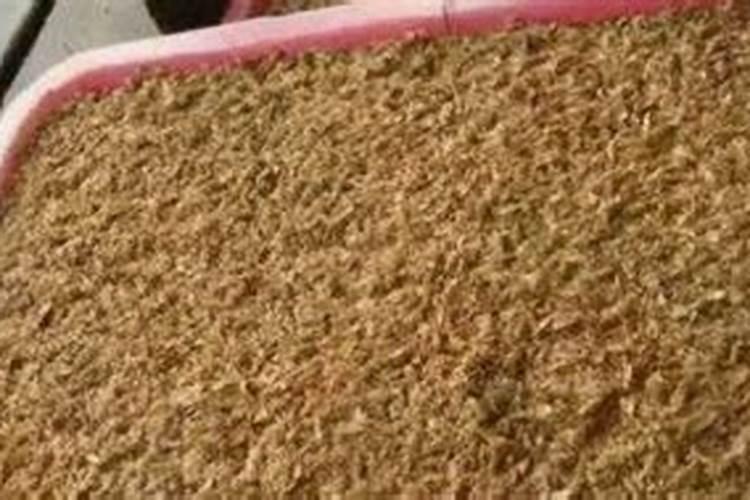 病死猪成功堆肥的基本要素有哪些？