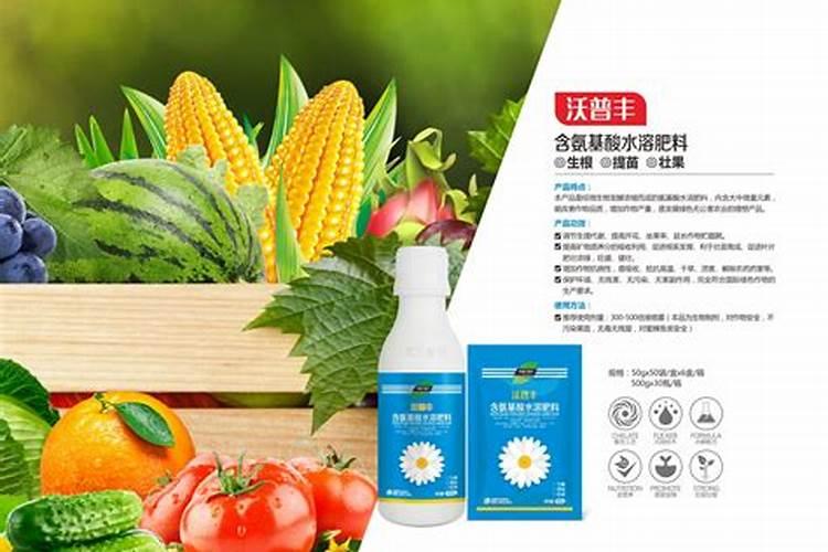 打叶面肥较合适的时机,在什么时候呢？