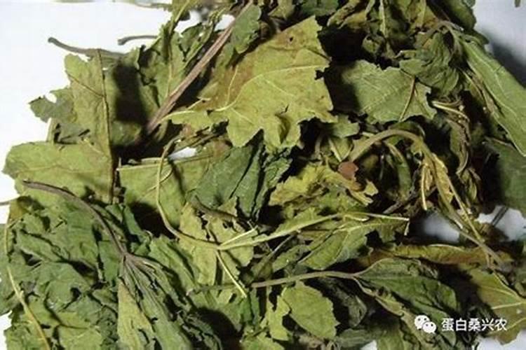 磷肥可以杀青苔吗