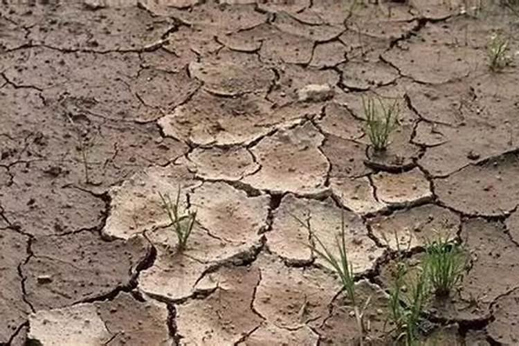 土地化肥施用太多会导致土壤板结,如何解决呢？