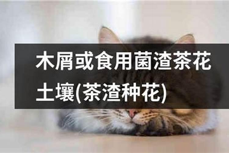 磷肥厂用过的土可以种花吗？