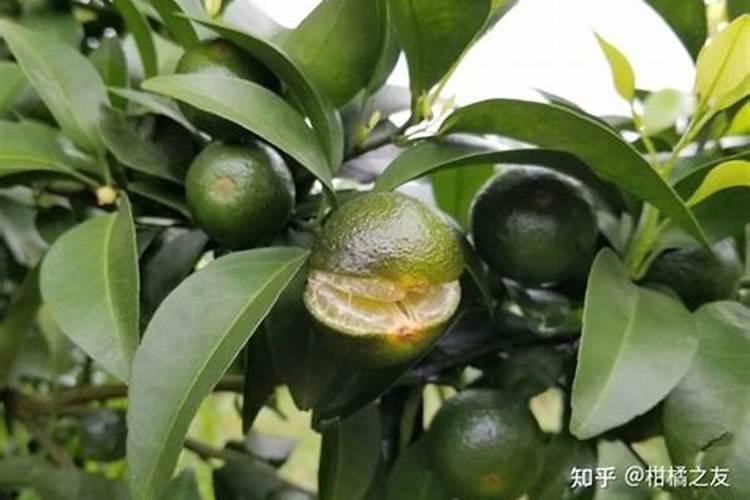 磷酸二氢钾是磷肥吗