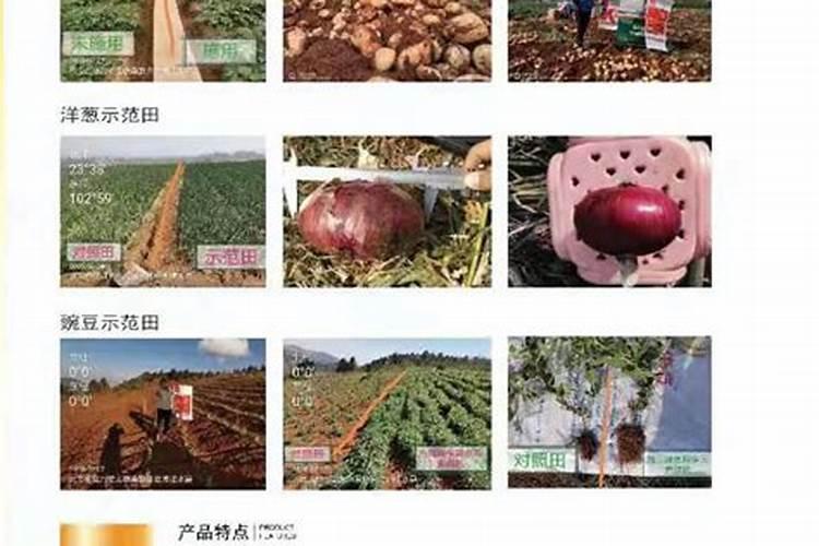 养栀子花的肥料 栀子花最好的肥料是什么怎么施