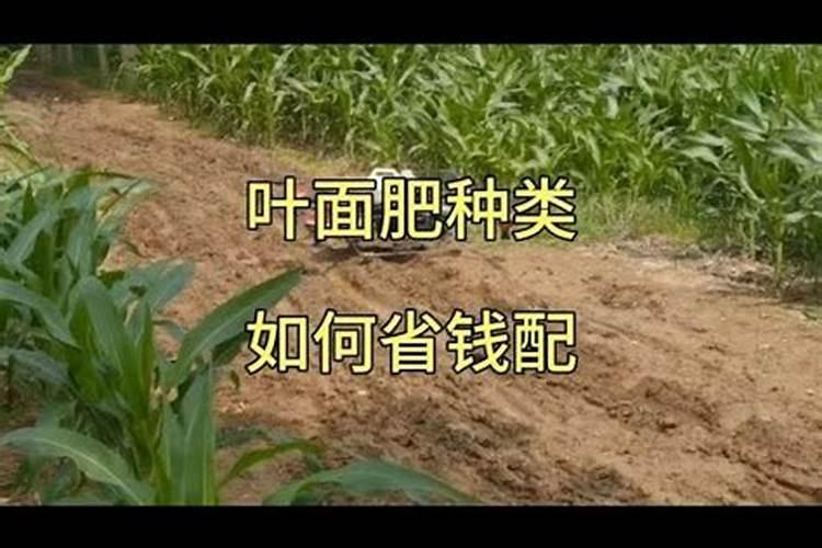 碧欧叶面肥能与百泰混用吗
