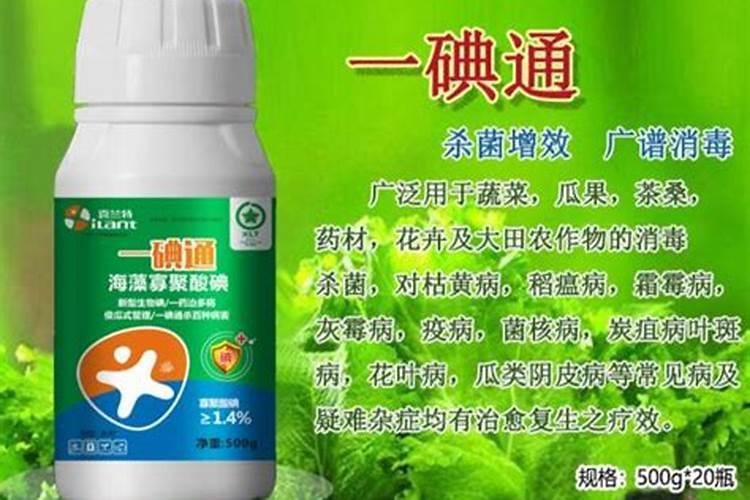 马铃薯枯萎病打什么药