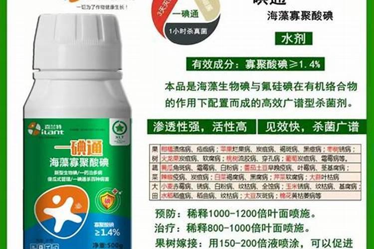 碘可以消毒吗