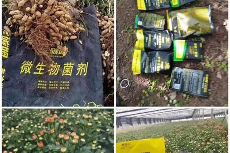 lkwg怎么样能快速施肥