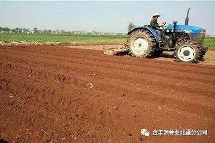 硝酸钾、硫酸钾效果是什么？它们的使用方法是什么？