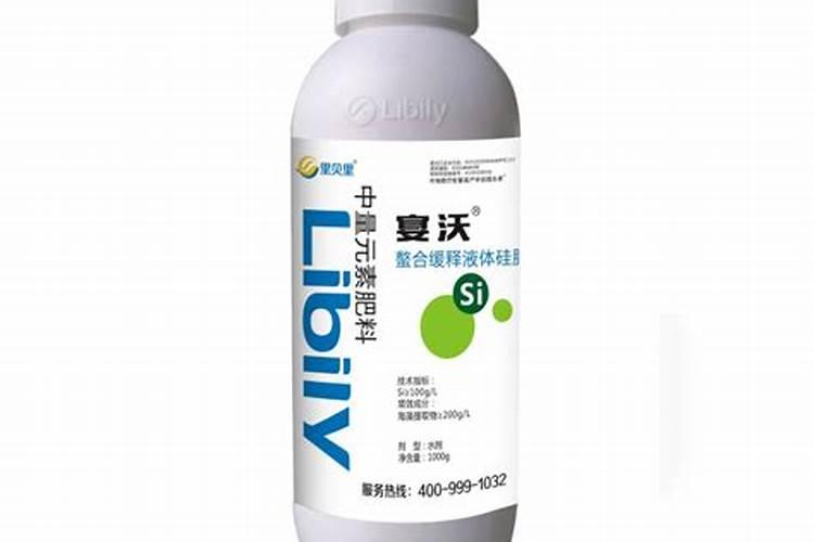 硅肥在水稻生产中有什么特殊作用？