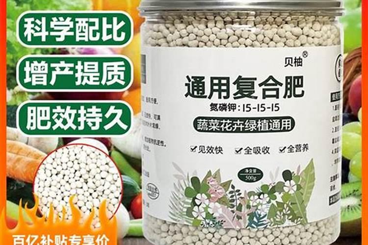 种菜用什么肥料最好