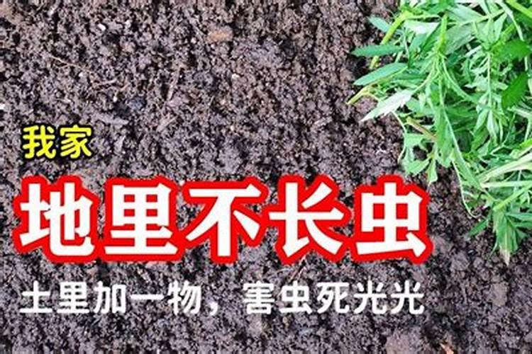 氮肥养花的作用及使用方法