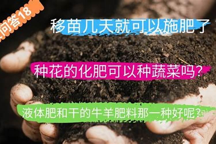 几种畜禽粪肥施用要点