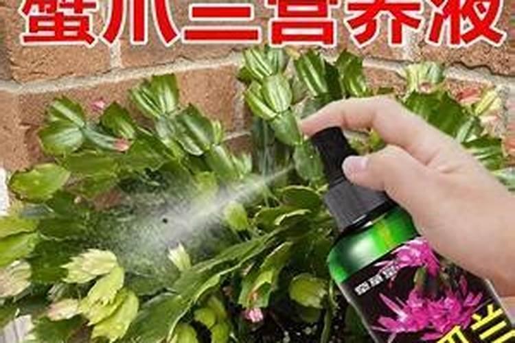 柠檬酸渣子可以做肥料吗？