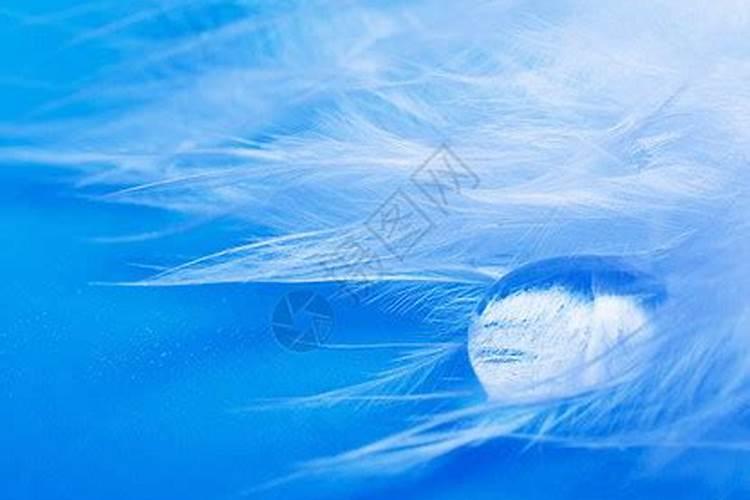 金大地水溶肥多少钱一伐？