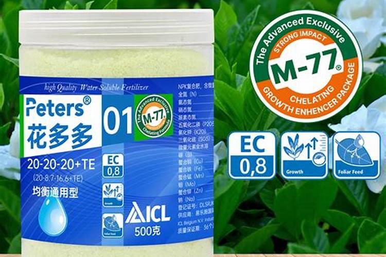 绿萝用什么肥料好