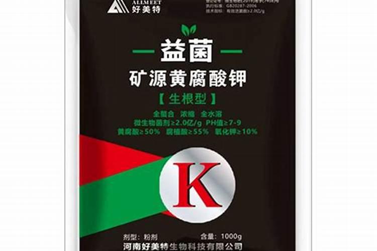 大姜出苗期间可以冲矿源黄腐酸钾吗？