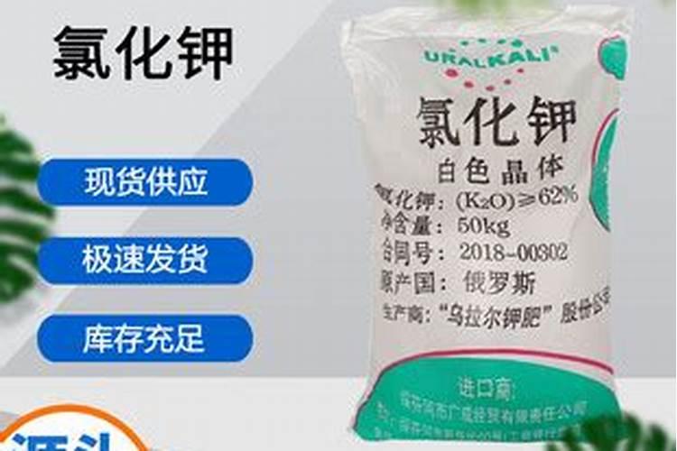 钾肥的缺乏和过量对草莓有什么危害？