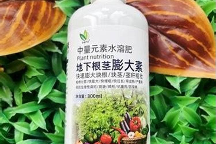 果树生根促根用什么效果最好？
