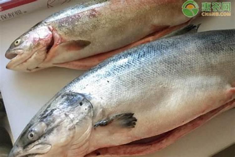 磷酸二氢钾加鱼蛋白加流体硼一起叶面喷施行吗？