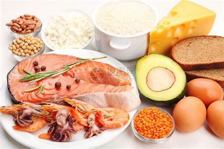 蛋白质流体食品属于