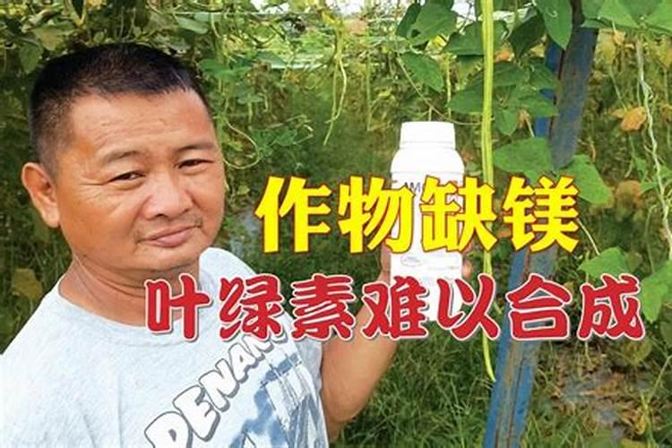 云化嘉吉是什么肥料 我们这来了个卖这化肥的 还送很多东西 这肥料是...