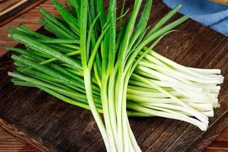 鱼蛋白肥料的使用技巧