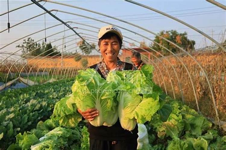 请问住商肥料是中国目前最好的复合肥吗？？？