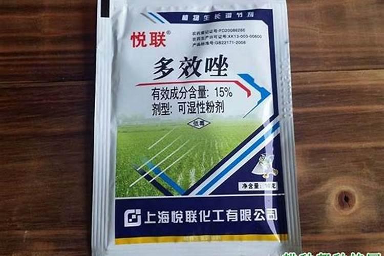 芒果树控梢用什么药好控,跪求解答个位大神