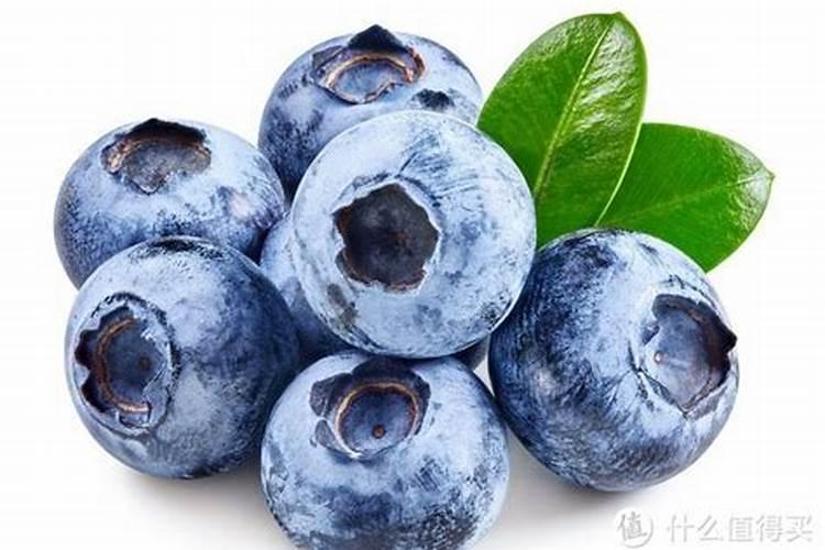 蓝莓需要什么肥料最好