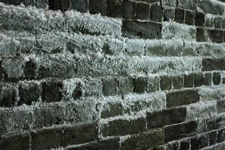 快速自制氮肥的方法