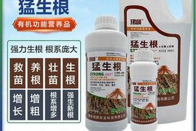 用什么肥可以丰根？