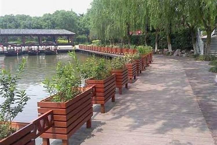 哪些植物适合种植在花箱中？
