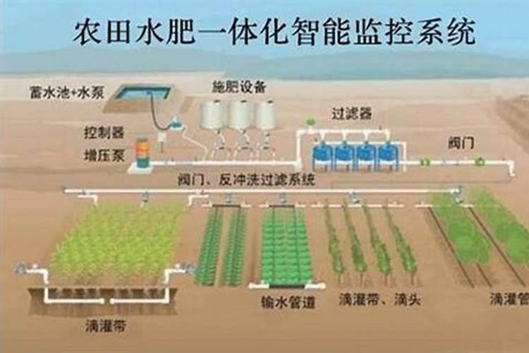 硝酸铵钙和尿素相比哪个更好