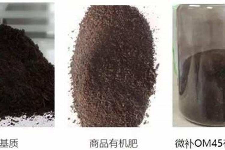 平衡肥是什么肥