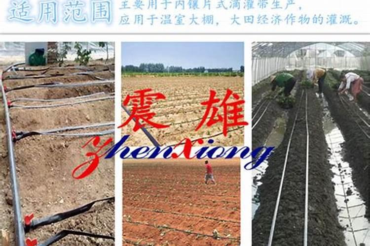 水溶肥哪家好