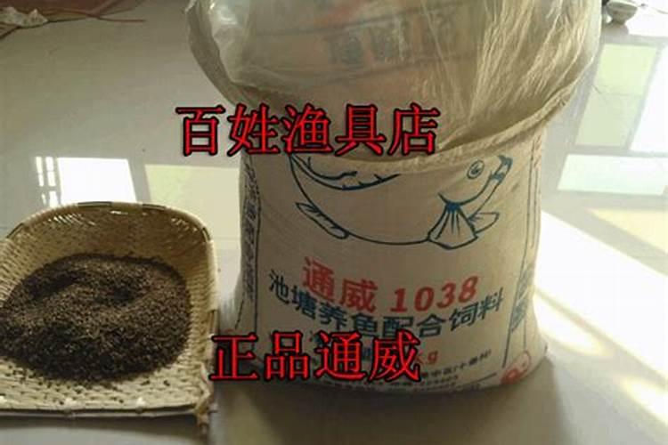 龙趸石斑鱼多少钱一斤