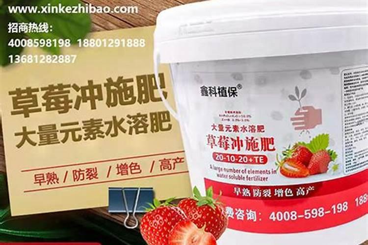 草莓膨果期用什么冲施肥好