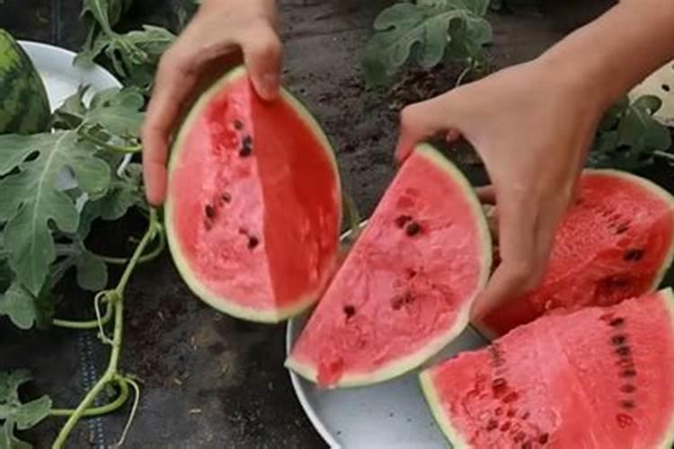 一亩地用多少硼肥 如何正确施硼肥